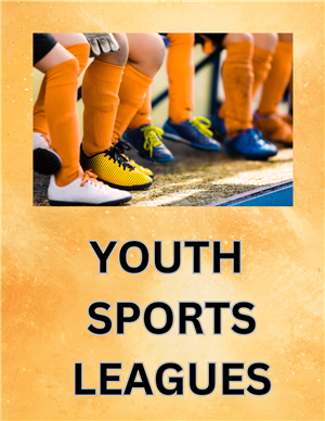 Youth Sports Leagues